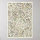 Suche nach lebensbaum poster Evolution