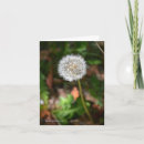 Suche nach löwenzahn karten Blumen