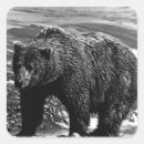 Suche nach braunbär aufkleber Alaska