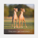 Suche nach windhunde magnete Italienischer windhund