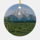 Suche nach großartig ornamente Teton