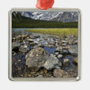 Suche nach schmelzen ornamente Schnee