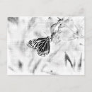 Suche nach negative postkarten Foto