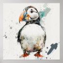 Suche nach puffin poster Vogelvogel