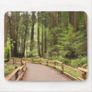Suche nach mammutbaum mousepads Usa