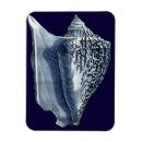 Suche nach muscheln magnete Indigo