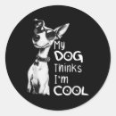 Suche nach dog lover aufkleber Amerika wieder groß