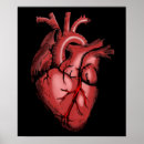 Suche nach anatomisches herz poster Arzt