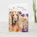 Suche nach afghanisch karten Haustiere