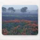 Suche nach eiche mousepads Farbe