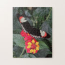 Suche nach klavier puzzle Puzzlespiel