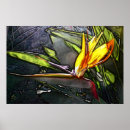 Suche nach digitaler realismus poster Blume
