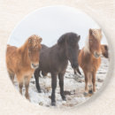 Suche nach equus untersetzer Fell
