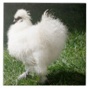 Suche nach huhn fliesen Weiß