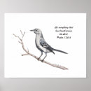 Suche nach spottdrossel poster Wildtiere
