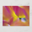 Suche nach unterseite postkarten Natur