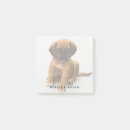 Suche nach niedliche hunde post it Liebhaber