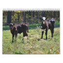 Suche nach kälber kalender Bauernhof