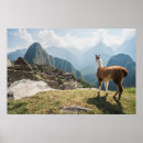 Suche nach anden berge poster Peru