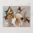 Suche nach zwei vögel postkarten Vintag