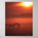 Suche nach pferdebilder poster Pferdephotographie