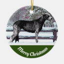 Suche nach irish wolfhound ornamente Wolfhund