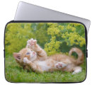 Suche nach lustige spiele laptop schutzhüllen Niedlich