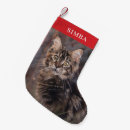 Suche nach cat weihnachts strümpfe Modern