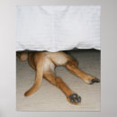 Suche nach labradors poster Spaß