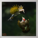 Suche nach flicker poster Natur