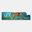 Suche nach unterwasser autoaufkleber Schildkröte