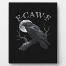 Suche nach krähe fotoplatten Vogel