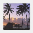 Suche nach kitten magnete Landschaft