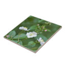 Suche nach wildblume fliesen Natur
