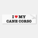 Suche nach cane corso haustier wohnen zuhause Dogs