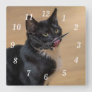 Suche nach junges wanduhren Katze
