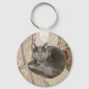 Suche nach digitaler löwe accessoires Katze