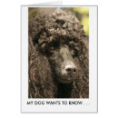 Suche nach pudel postkarten Spaß