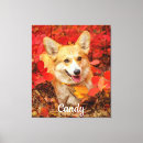 Suche nach corgi leinwandbilder Herde