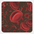 Suche nach menschliche anatomie aufkleber Menschlicher körper