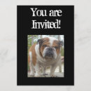 Suche nach bulldogge einladungen Hund
