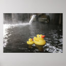 Suche nach gummi ente poster Gelb