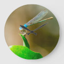 Suche nach garten wanduhren Insekten