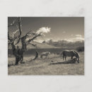 Suche nach blaue lagune postkarten Landschaft