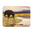 Suche nach grizzly magnete Natur