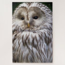 Suche nach owl alle puzzle Natur