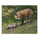 Suche nach nachkommen poster Natur
