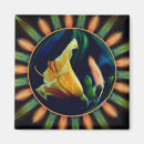 Suche nach orange magnete Foto