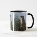 Suche nach meerkats tassen Niedlich