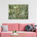 Suche nach olive leinwandbilder Botanisch
